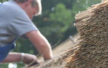 professional Hornblotton thatchers